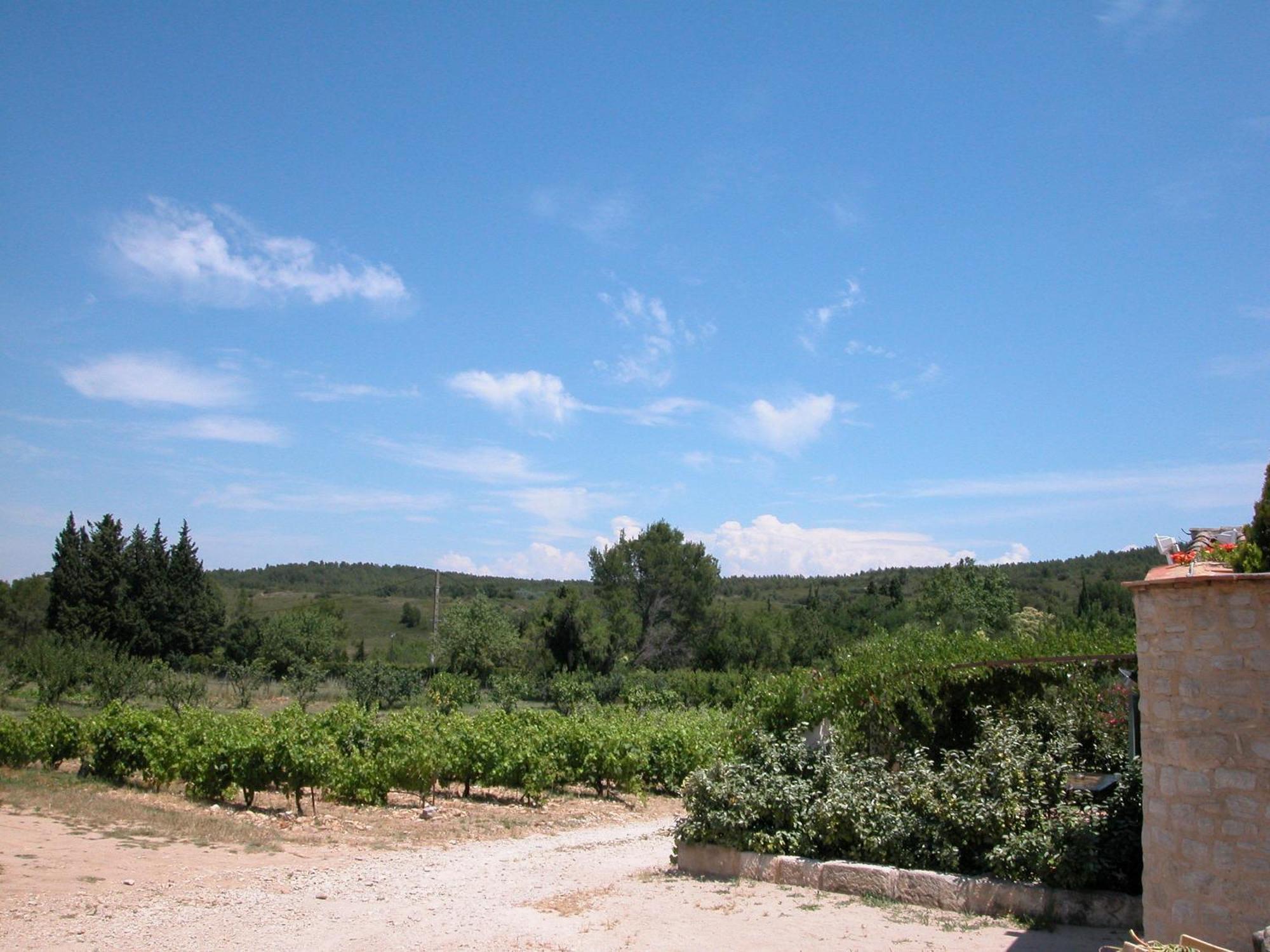 Le Mazet De La Dame Bed and Breakfast Barbentane Buitenkant foto