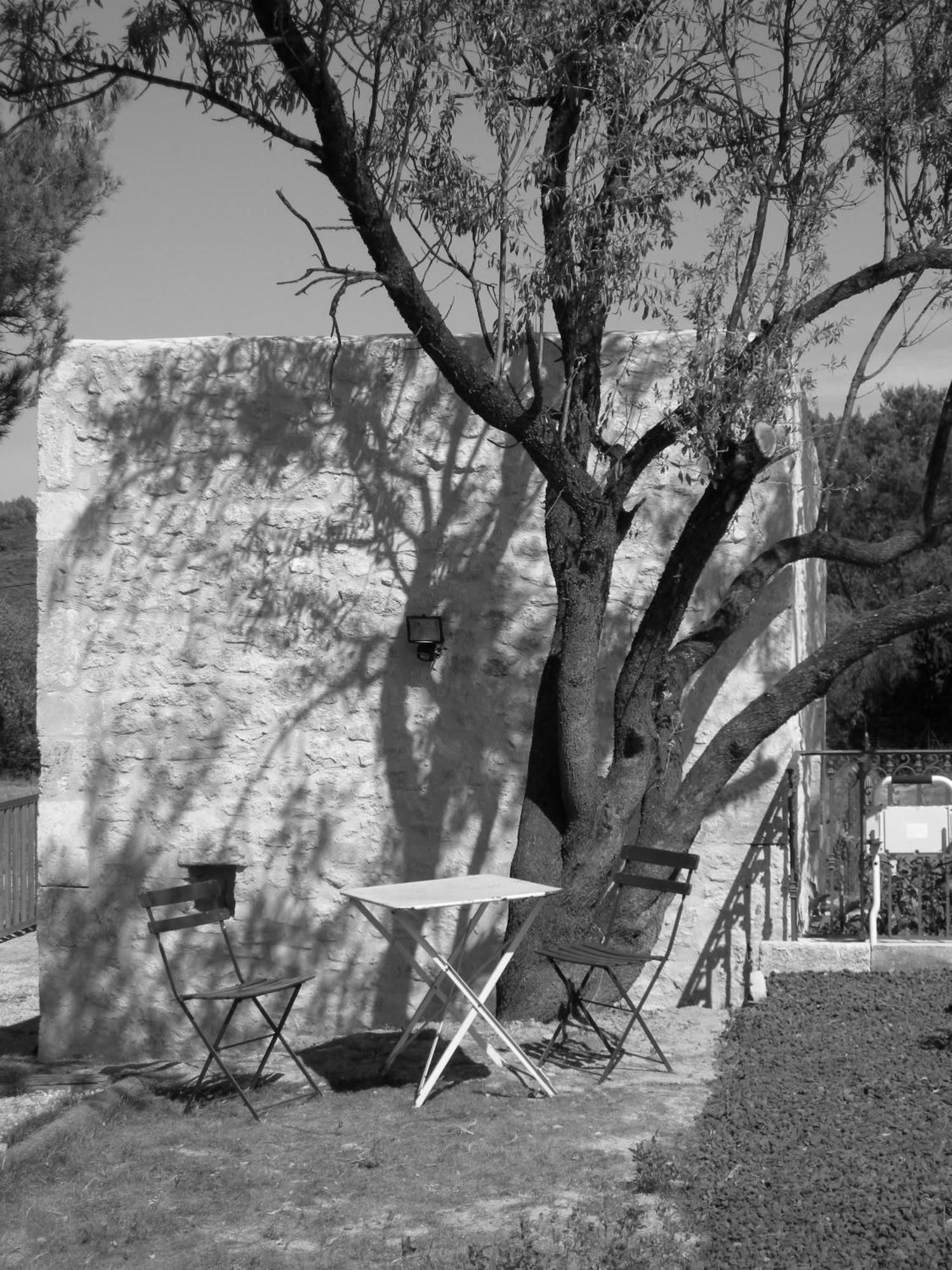 Le Mazet De La Dame Bed and Breakfast Barbentane Buitenkant foto